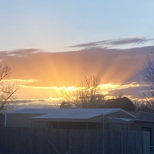 Meet your Posher, Madalyn